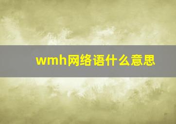 wmh网络语什么意思