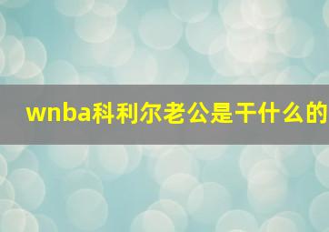 wnba科利尔老公是干什么的