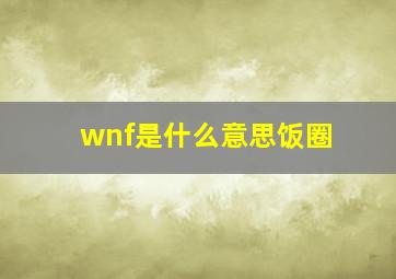 wnf是什么意思饭圈