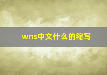 wns中文什么的缩写