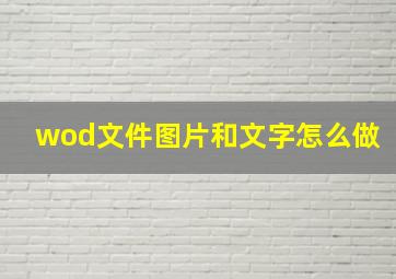 wod文件图片和文字怎么做