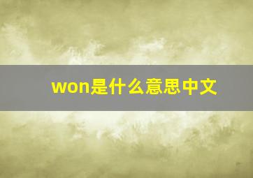 won是什么意思中文