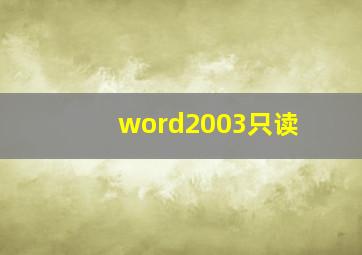 word2003只读