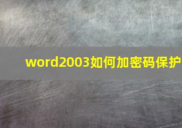 word2003如何加密码保护