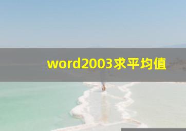 word2003求平均值