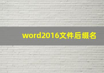 word2016文件后缀名