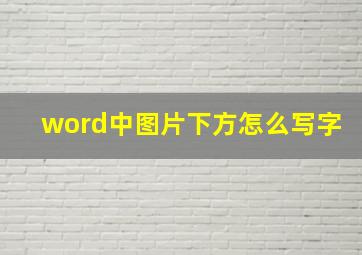 word中图片下方怎么写字