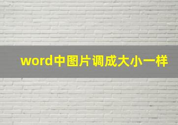 word中图片调成大小一样