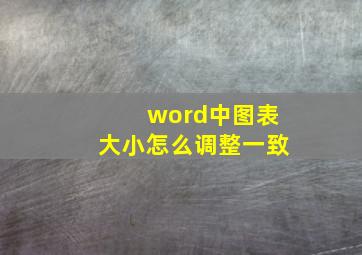 word中图表大小怎么调整一致