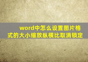 word中怎么设置图片格式的大小缩放纵横比取消锁定