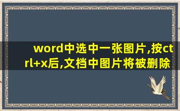 word中选中一张图片,按ctrl+x后,文档中图片将被删除掉