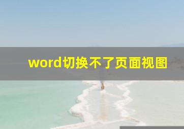 word切换不了页面视图