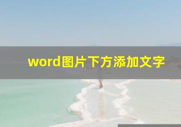 word图片下方添加文字