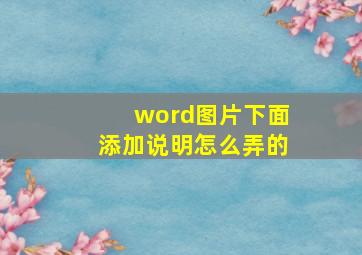 word图片下面添加说明怎么弄的