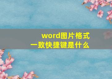 word图片格式一致快捷键是什么