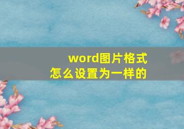 word图片格式怎么设置为一样的