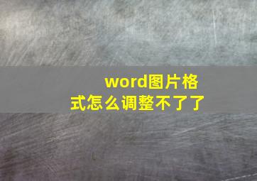 word图片格式怎么调整不了了