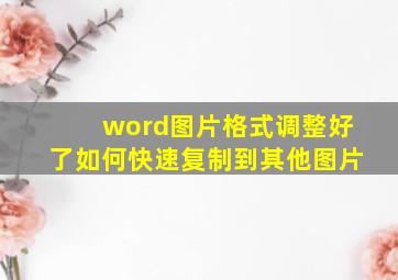 word图片格式调整好了如何快速复制到其他图片