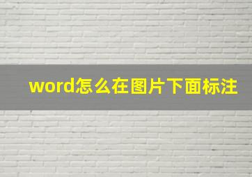 word怎么在图片下面标注