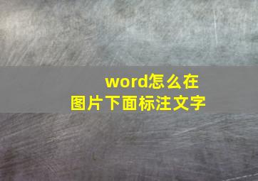 word怎么在图片下面标注文字