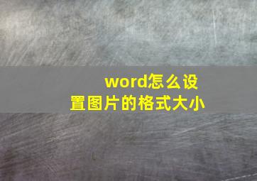 word怎么设置图片的格式大小