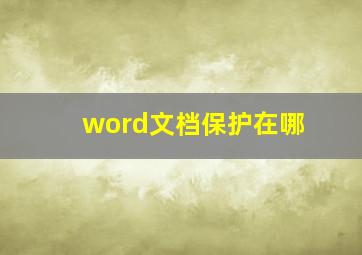 word文档保护在哪