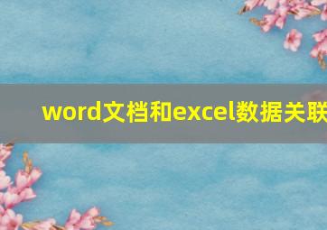 word文档和excel数据关联