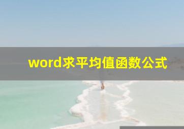 word求平均值函数公式