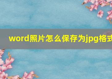 word照片怎么保存为jpg格式