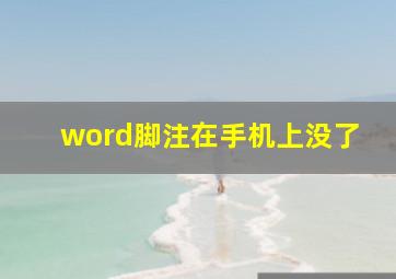 word脚注在手机上没了