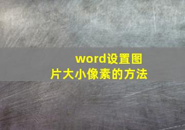 word设置图片大小像素的方法