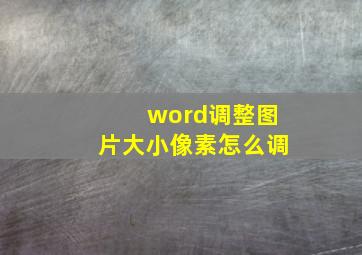 word调整图片大小像素怎么调