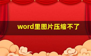 word里图片压缩不了