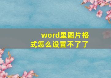 word里图片格式怎么设置不了了