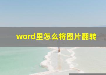 word里怎么将图片翻转