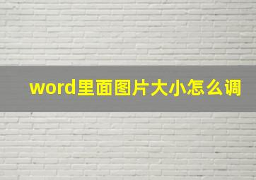 word里面图片大小怎么调