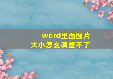 word里面图片大小怎么调整不了