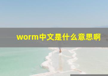 worm中文是什么意思啊