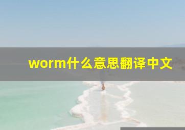 worm什么意思翻译中文