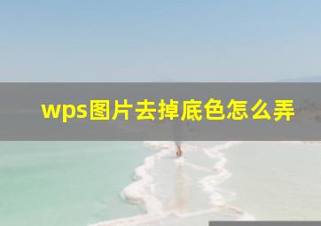 wps图片去掉底色怎么弄