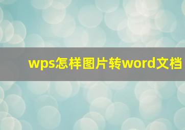 wps怎样图片转word文档