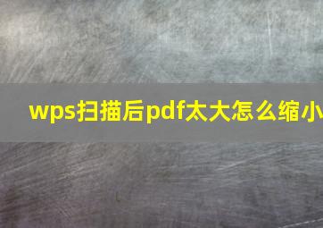 wps扫描后pdf太大怎么缩小