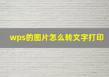 wps的图片怎么转文字打印