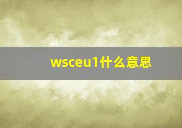 wsceu1什么意思