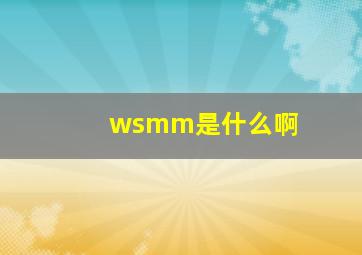 wsmm是什么啊