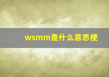 wsmm是什么意思梗