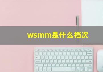 wsmm是什么档次