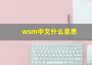 wsm中文什么意思