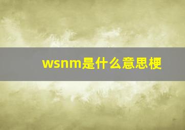 wsnm是什么意思梗