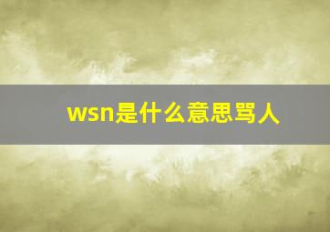 wsn是什么意思骂人